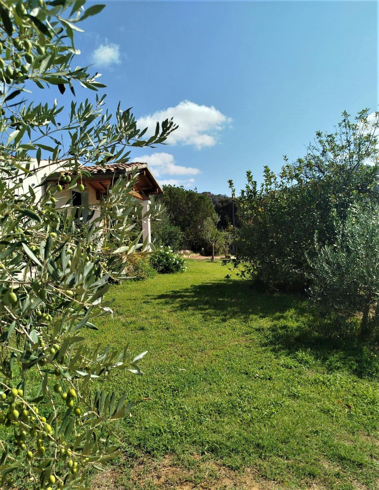 La Casetta Padru Exterior foto